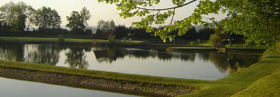 Gramoznica 504 Linj  (036)