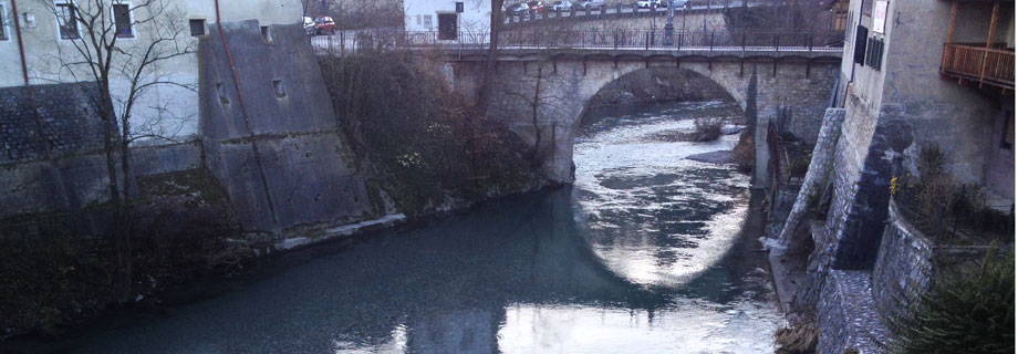Ribiška družina Sora