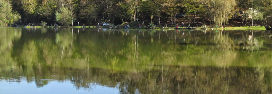 Ribiška družina Brestanica-Krško