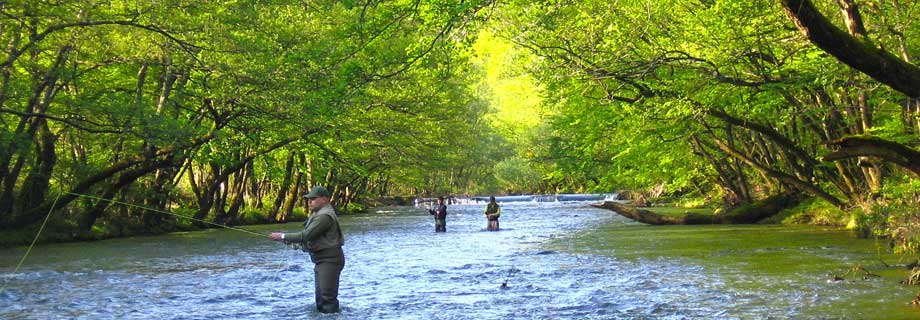 Ribiška družina Bistrica