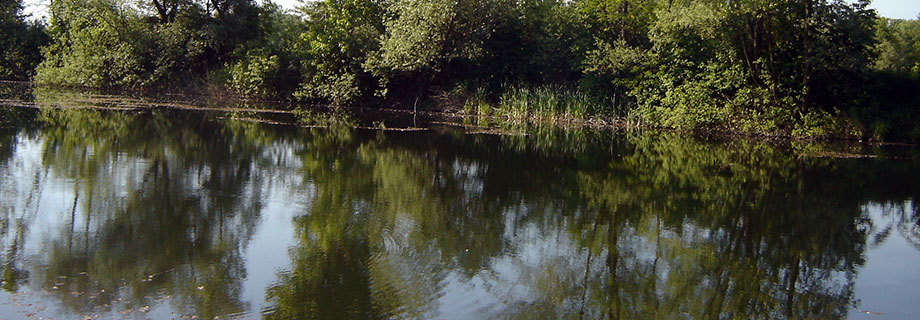 Ribiška družina Radgona