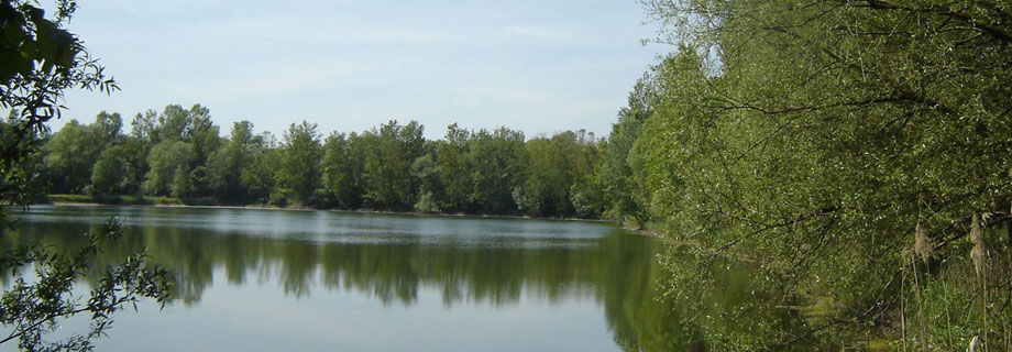 Gramoznica Gradišče desno (087)