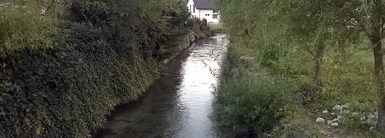 Radomeljska mlinščica