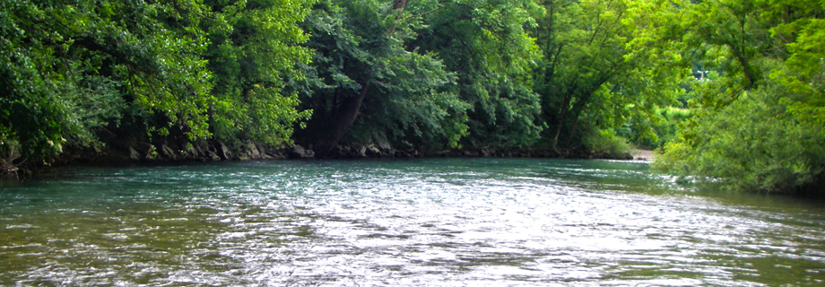 Ribiška družina Renče