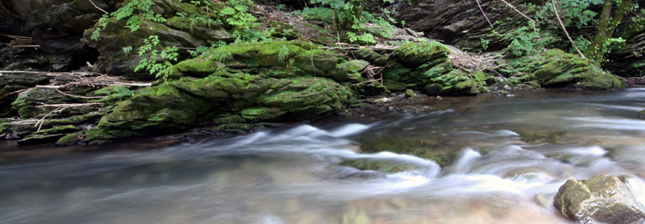 Ribiška družina Žiri